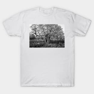Royal Oak, Richmond Park T-Shirt